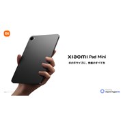 VI~A8.8^̃RpNg×nCGh^ubguXiaomi Pad Miniv