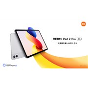 VI~A12.1^ʁuREDMI Pad 2 ProvƎqǂguREDMI Pad 2 Play Bundleṽ^ubg2i