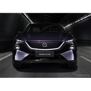 阪和 ONL-K01-YL 阪和、陶器製で温かみのある電気ケトル「ONL-K01 Onlili