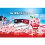 IQOS^oRXeBbNuZeBA ACV[ bhv12/8RrjŔ̔Jn