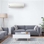 �V���[�v�A�v���Y�}�N���X�^�[25000�ƃt�B���^�[�������|���@�\���ڂ̃n�C�O���[�h�G�A�R���uV�V���[�Y�v