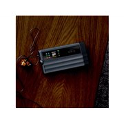 iFi audio�ABurr-Brown��DAC�`�b�v���̗p�������@�\�|�^�A���uiDSD GR 2�v