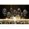 �uLIGHT in BLACK Eco-Drive 50th Anniversary Edition�v