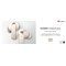 「HUAWEI FreeBuds Pro 5」