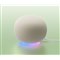 「Google Home スピーカー」