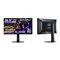 「THE SHOOTER - Gaming Monitor 24" Essential」