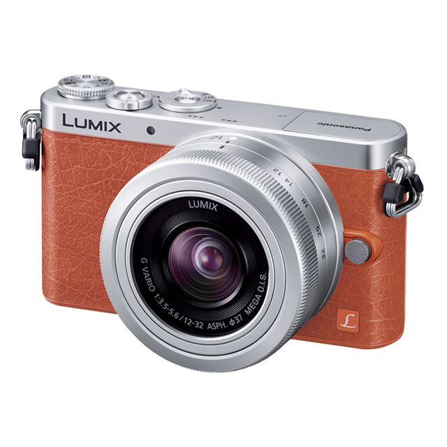 ○日本正規品○ gf9 lumix 本体 ジャンク ミラーレス 一眼 ミラーレス