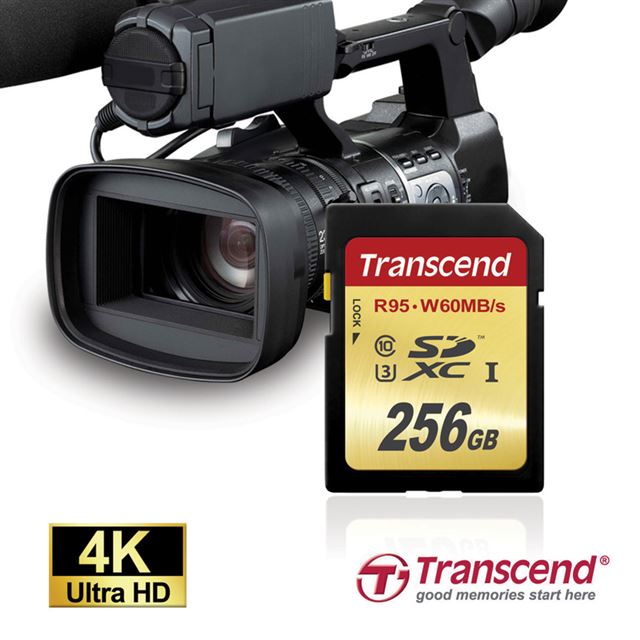 TS256GSDU3