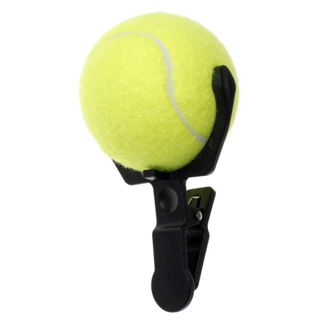 愛犬をカメラ目線で撮影できるスマホ取り付け用玩具 こっち向いてワン 価格 Com