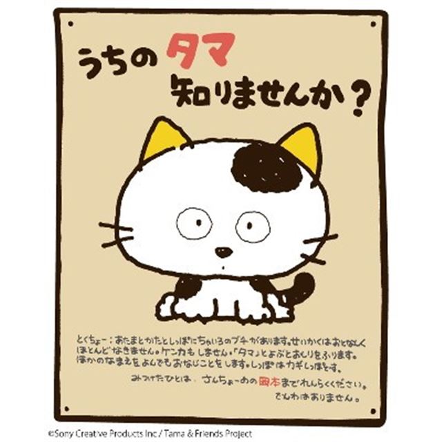 なつかしい！かわいい！80年代絵柄の「うちのタマ知りませんか