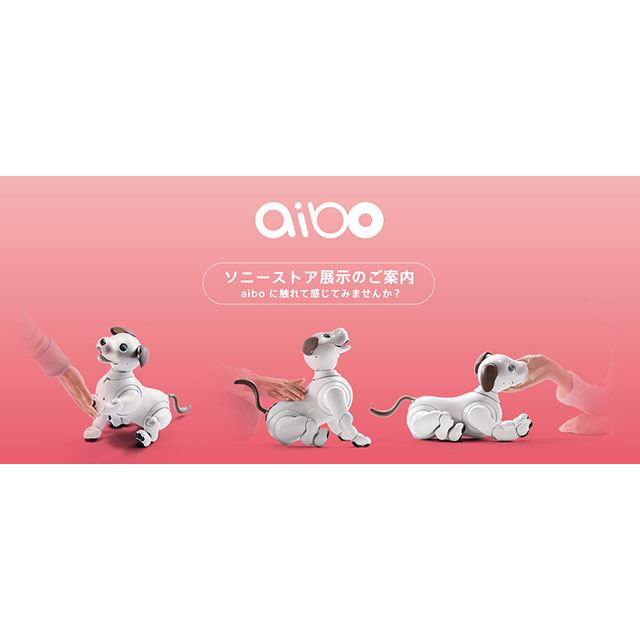 Aibo誕生3か月を記念し 4月11日限定でソニーストア店頭販売を実施 価格 Com