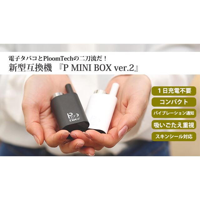 P MINI BOX Ver.2