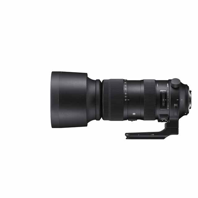 シグマ、高倍率ズームレンズ「60-600mm F4.5-6.3 DG OS HSM | Sports