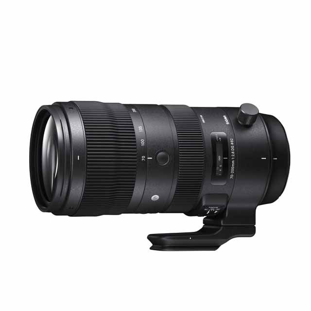 SIGMA 望遠ズームレンズ 70-300mm F4-5.6 DG MACRO ソニーA(α)マウント