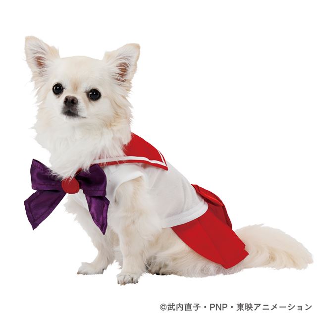 バンダイ ドラゴンボールz や 美少女戦士セーラームーン とコラボした犬服など 価格 Com バンダイ ドラゴンボールz や 美少女戦士セーラームーン とコラボした犬服など 価格 Com