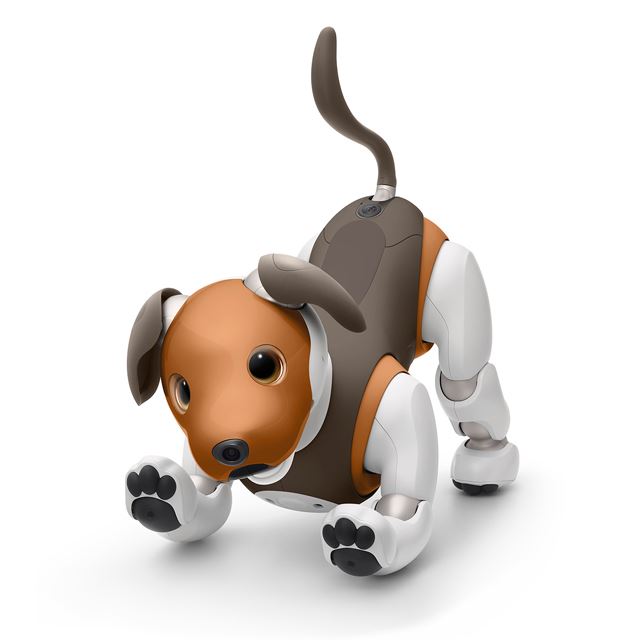 ソニー、aibo（アイボ）の2019年限定カラーモデル「チョコ 