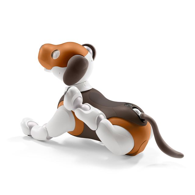 SALE／66%OFF】 SONY aibo 通常カラー 本体 別売品 mandhucollege.edu.mv