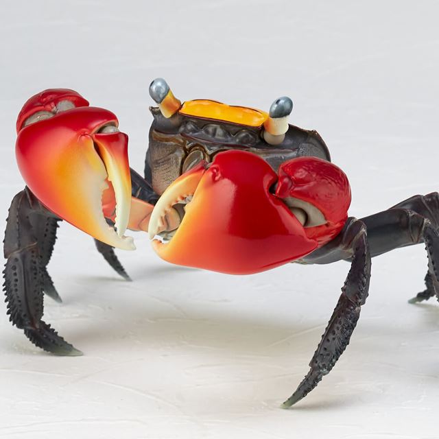 海洋堂 実物の約2倍 で再現したフィギュア アカテガニ を7 344円で発売 価格 Com