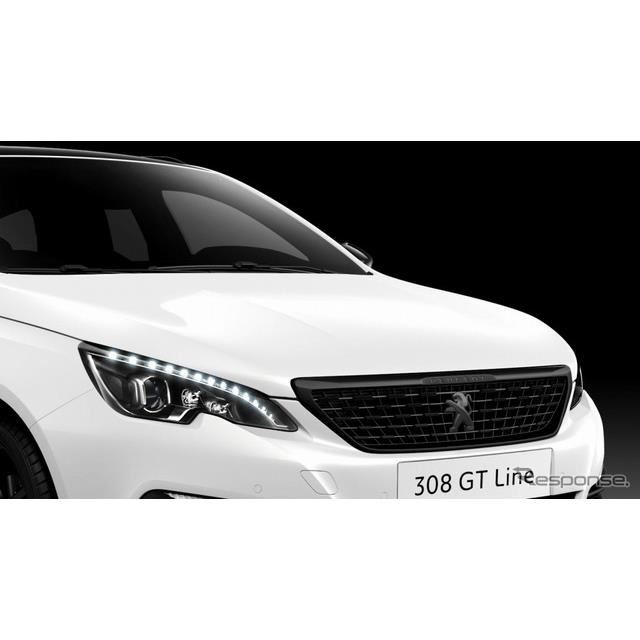 プジョー Peugeot 小売業者 308sw グリル 半艶ブラック