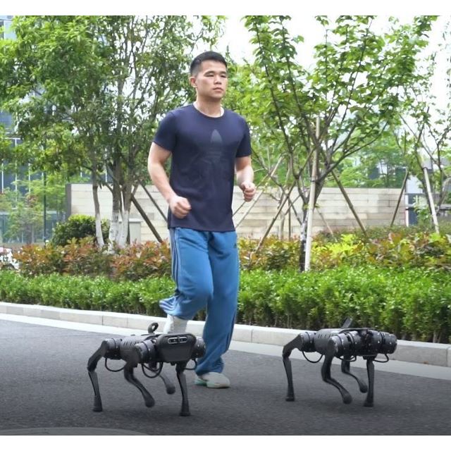 ほぼ中型犬の大きさ バク転もできる4足歩行ロボット Unitree A1 が国内発売 価格 Com