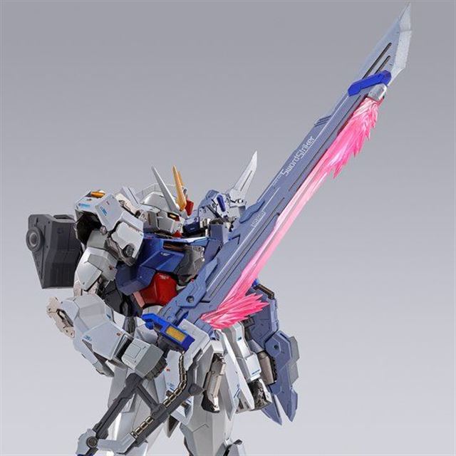 WEB限定カラー METAL BUILD ソードストライカー 10th Ver. nascd.edu.bd