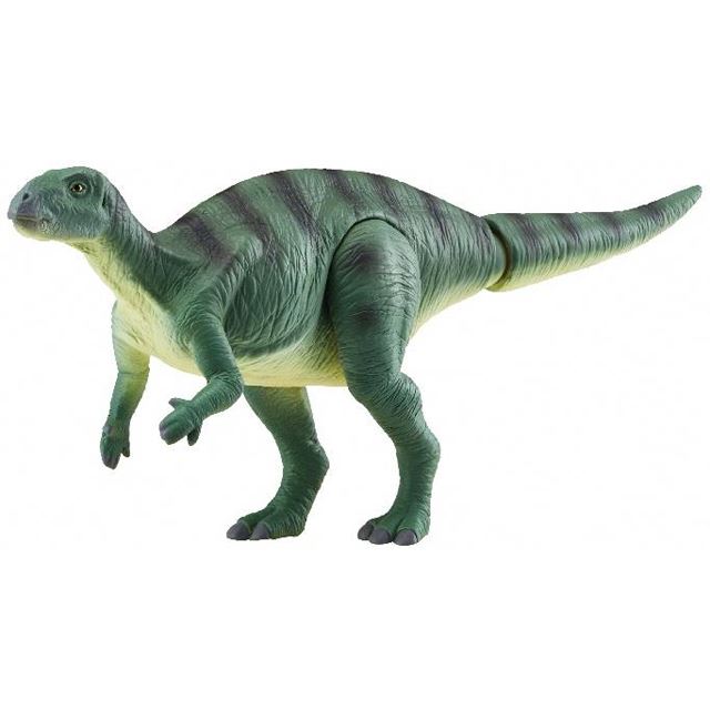 アニア 福井県立恐竜博物館監修6体＋GCG LLCオリジナル商品 限定7体