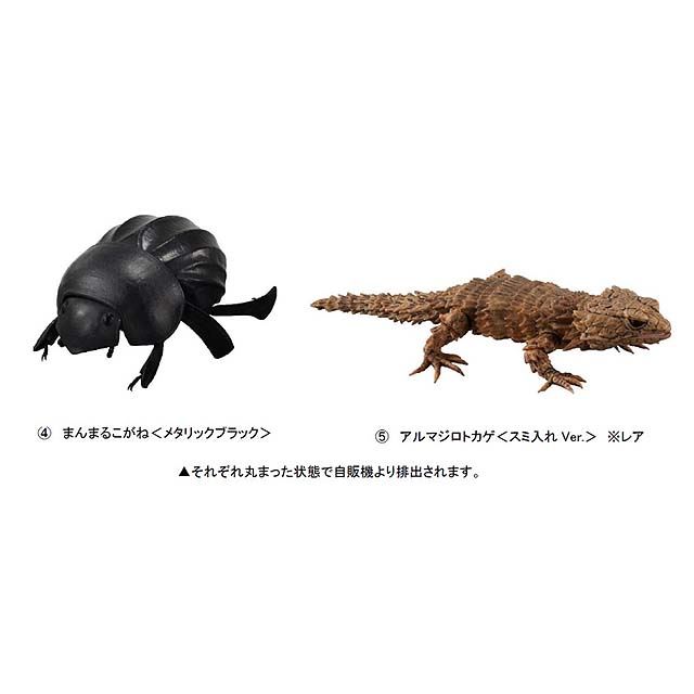 ガシャポン「生きものシリーズ」に「くわがた」と「だんごむし07 