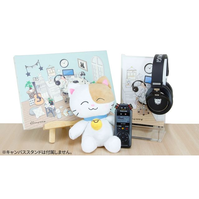 TASCAM、ASMRアーティスト「はとむぎ」コラボのオーディオレコーダー