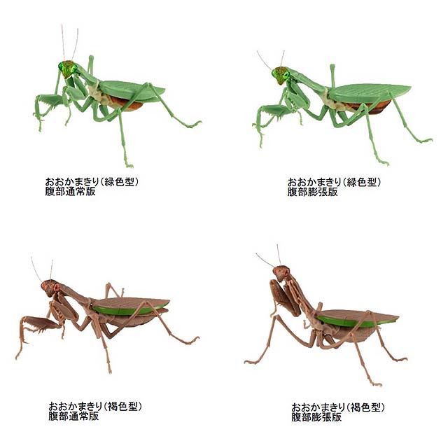 ガシャポン いきもの大図鑑シリーズ に かまきり すずめばち02 かめ03 価格 Com