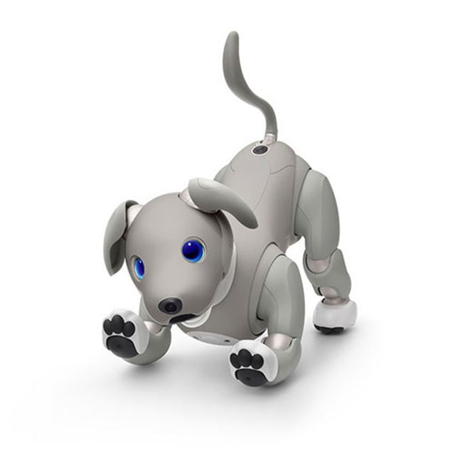 SONY AIBO ERS-1000 限定特別色モデル - おもちゃ