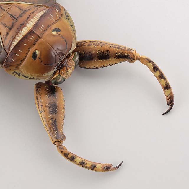 タガメ Revogeo リボジオ 海洋堂 ビッグサイズ可動昆虫フィギュア 日本