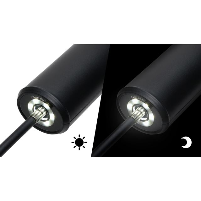 RLC-AP2200