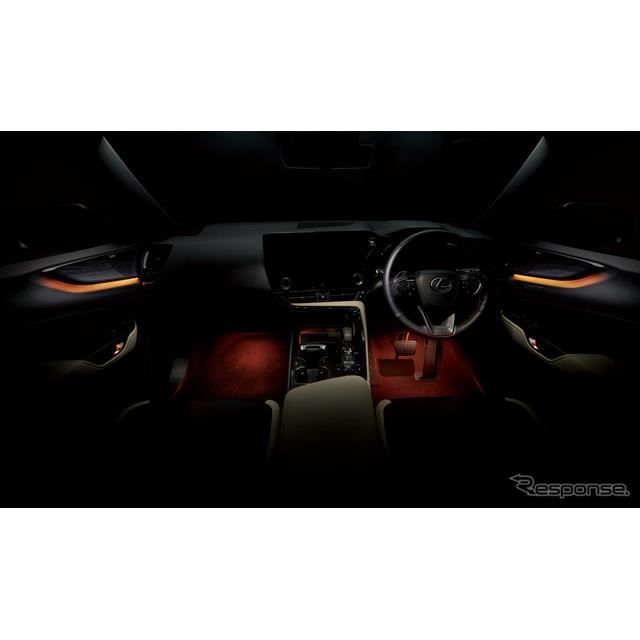 レクサス LEXUS イルミネーションナンバーフレームネオン 2020年廃盤 