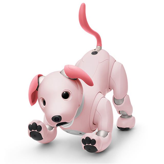 ソニー「aibo（アイボ）」2022年カラーは「いちごミルク」、限定ダンスも用意 - 価格.com