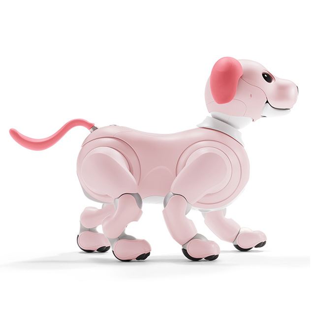 ソニー / aibo / アイボ ERS-1000/W ドック健康診断結果付