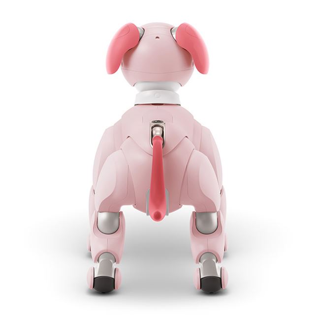 里親募集】SONY aibo アイボ ERS-1000(現在♂） - おもちゃ