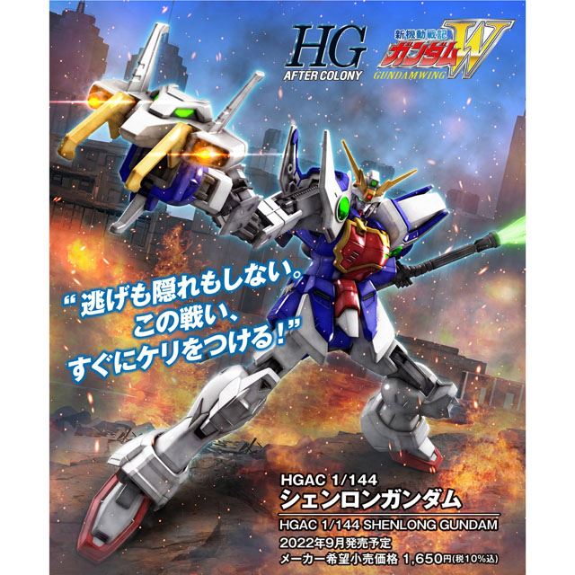 HG 1 144 シェンロンガンダム