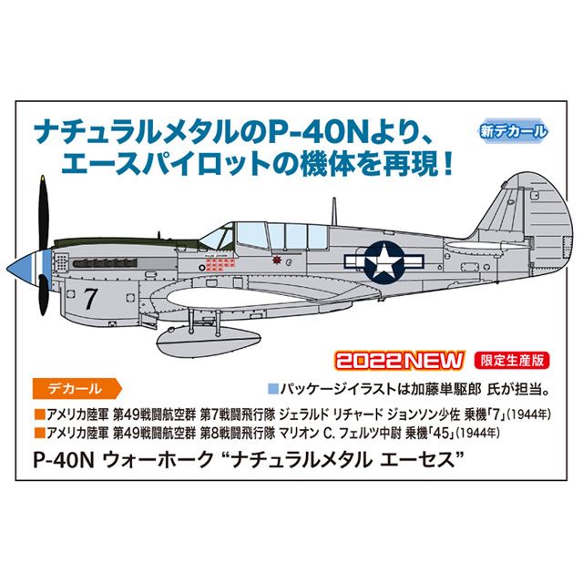 エースの機体を再現、アメリカ陸軍 航空群所属の「P-40N ウォーホーク」1/48模型 - 価格.com