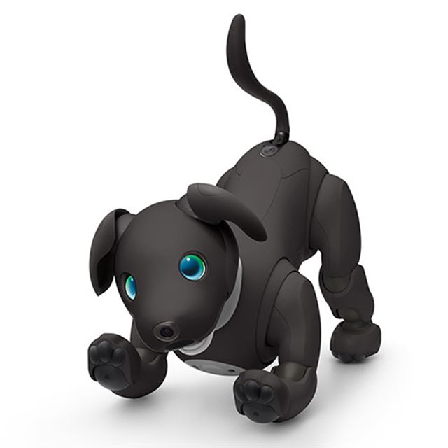 SONY 新型AIBO ERS-1000 アイボ www.krzysztofbialy.com