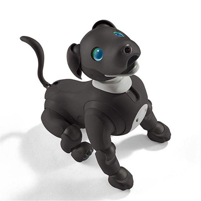 SONY ソニー aibo アイボ エンタテインメントロボット ERS-1000 アイボリーホワイト