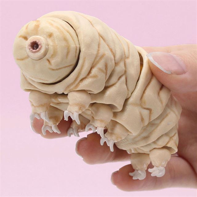 クマムシ人間 | クマムシ 人体への影響 : 「最強生物」クマムシ、衝撃のDNA構成が判明 – KGVFAG