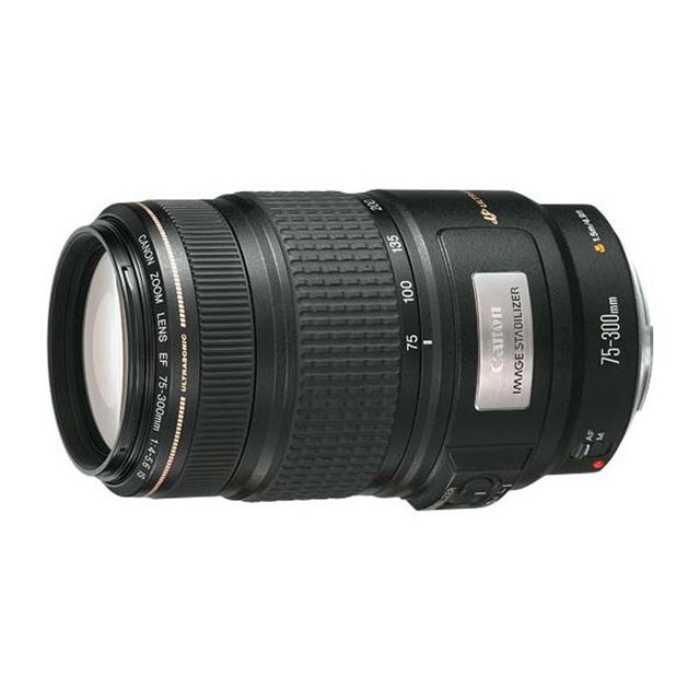11月2日限定価格【超望遠レンズ】Canon EF 75-300mm Ⅱ