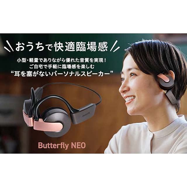 ダイワ様専用 aiwa ワイヤレスヘッドホン ButterflyNEO aiwa、小型