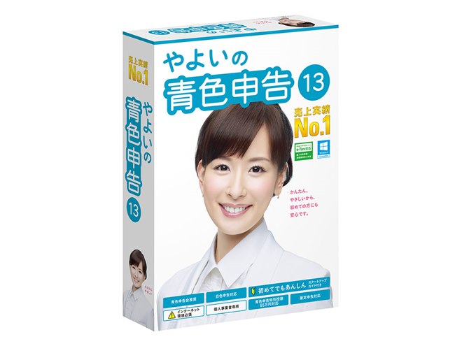 弥生会計13＆青色申告13セット