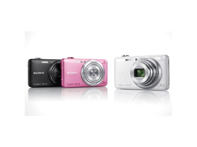 SONY Cyber-shot DSC-WX200 Pink 18.2MP Digital Camera 10xzoom