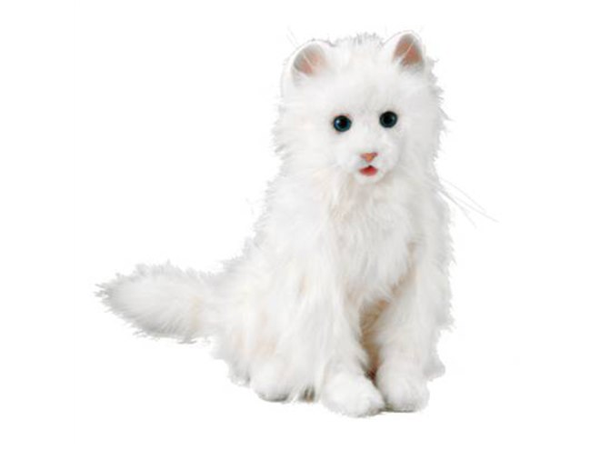 空前の猫ブーム、本物のニャンニャンのような「夢ねこプレミアム」発売