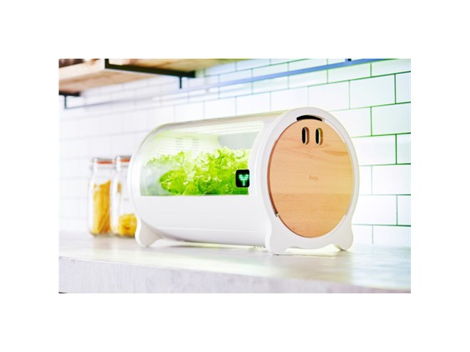IoT水耕栽培機「foop」にカプセル型種子キット「いろどりレタス」など3