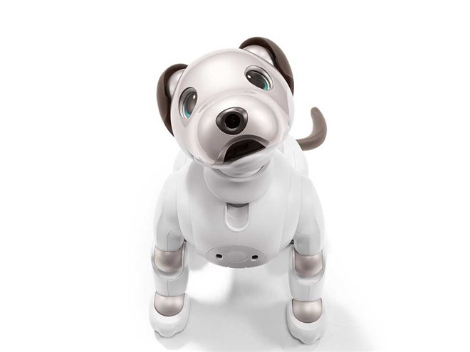 ソニー、オーナーに寄り添うロボット犬「aibo（アイボ）」を198,000円で発売 - 価格.com