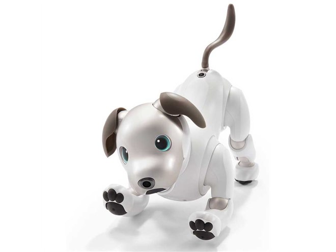 ソニー、オーナーに寄り添うロボット犬「aibo（アイボ）」を198,000円で発売 - 価格.com