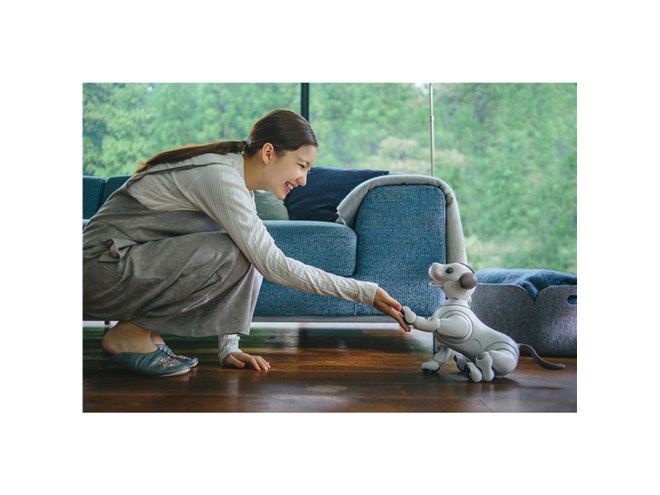 ソニー、オーナーに寄り添うロボット犬「aibo（アイボ）」を